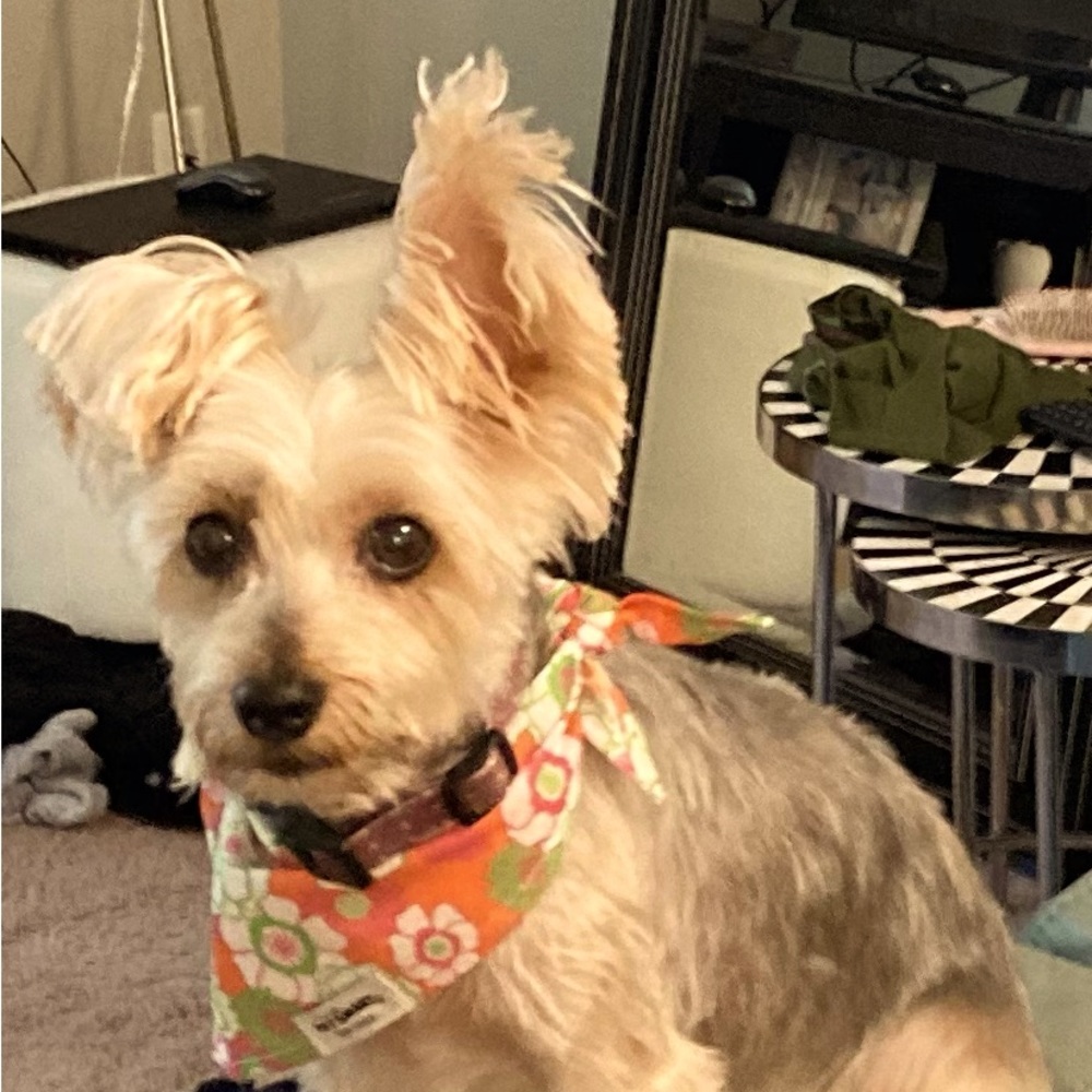 TREAT ????? Happy October!!!